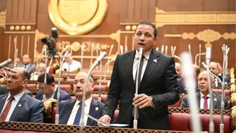 السكري: الدولة بقيادة الرئيس السيسي تواصل تعزيز منظومة الحماية الاجتماعية