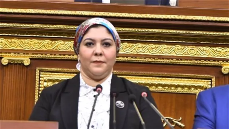 برلمانية: زيادة المعاشات تؤكد حرص السيسي على دعم المواطنين