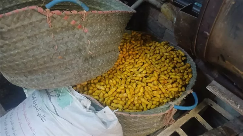 محافظ أسيوط: ضبط مواد محظور استخدامها في تلوين الأغذية بالمخالفة للاشتراطات 