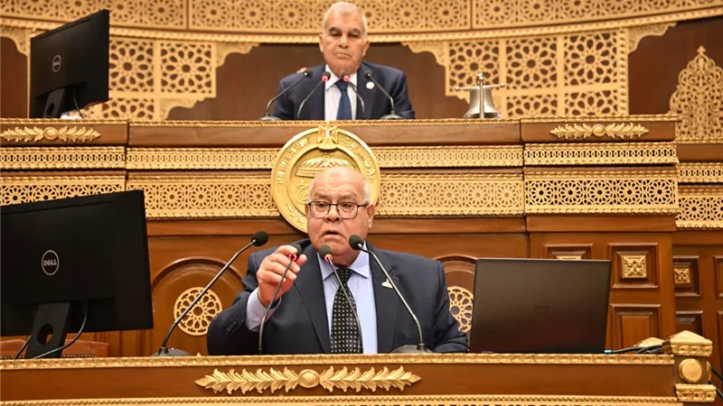 ناجي الشهابي: المصريون تحملوا الكثير ولا يحتملون أعباء جديدة في أسعار الكهرباء