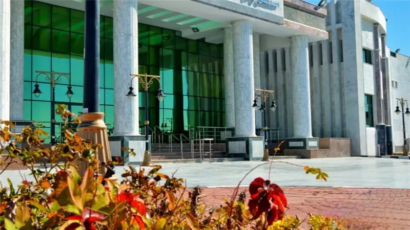  نصف مليون خدمة طبية وعلاجية بمستشفى رأس سدر منذ انضمامها للتأمين الشامل
