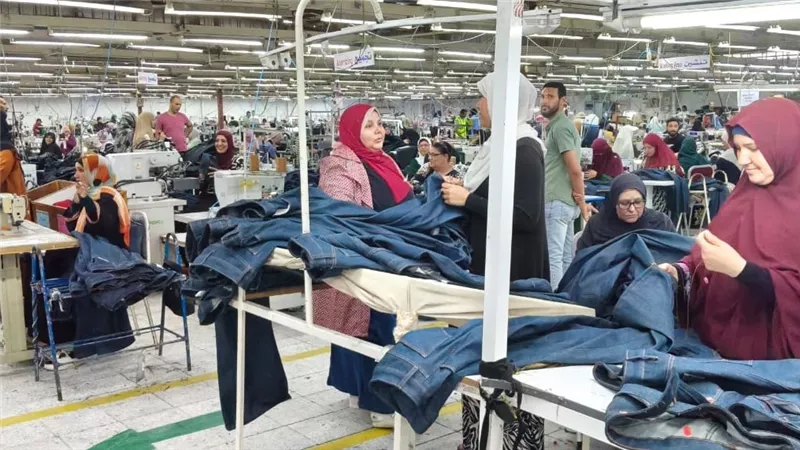 مديرية العمل بالإسماعيلية تضبط مخالفات لعقود العمل وعمالة الأجانب بالمنطقة 