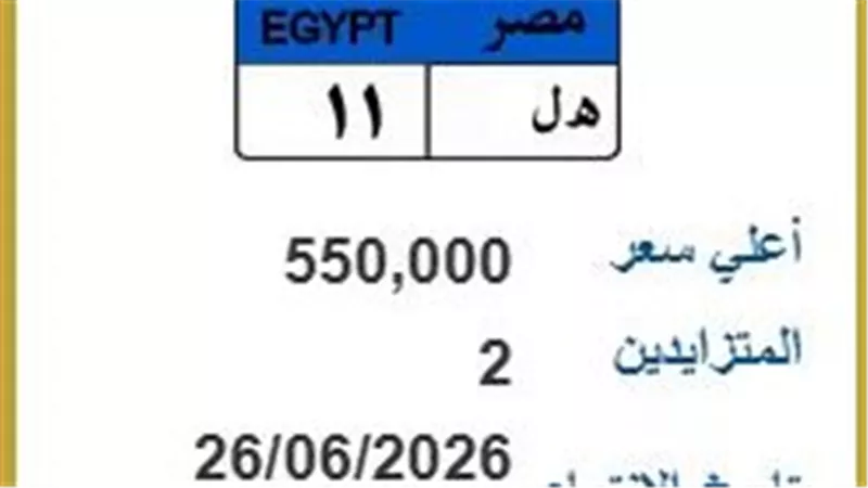 لوحة «هـ ل 11» تجذب المتنافسين وسعرها يصل إلى 550 ألف جنيه