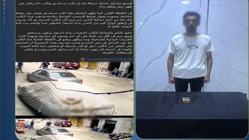 ضبط صاحب صفحة نشر فيديوهات قديمة لتحقيق مشاهدات وأرباح مالية