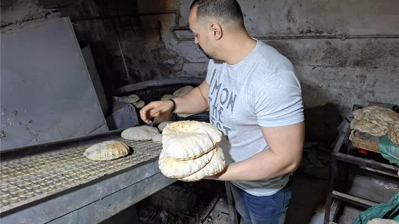 تحرير80 محضرًا لمخابز مخالفة في حملة تموينية بالغربية