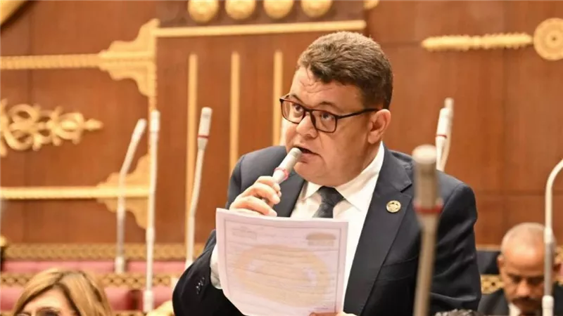 محمد البديوي: زيادة المعاشات تعكس حرص القيادة السياسية على دعم المواطنين