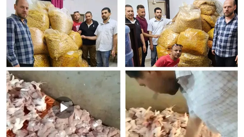 بنى سويف|ضبط لحوم ودواجن فاسدة ونصف طن مقرمشات مجهول المصدر