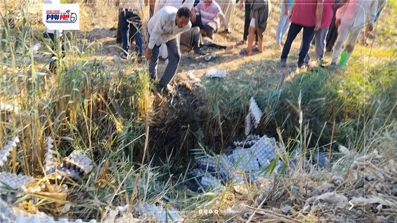 إصابة 3 أشخاص في انقلاب تروسيكل محمل بالبيض على الطريق الزراعي بقرية الروضة 