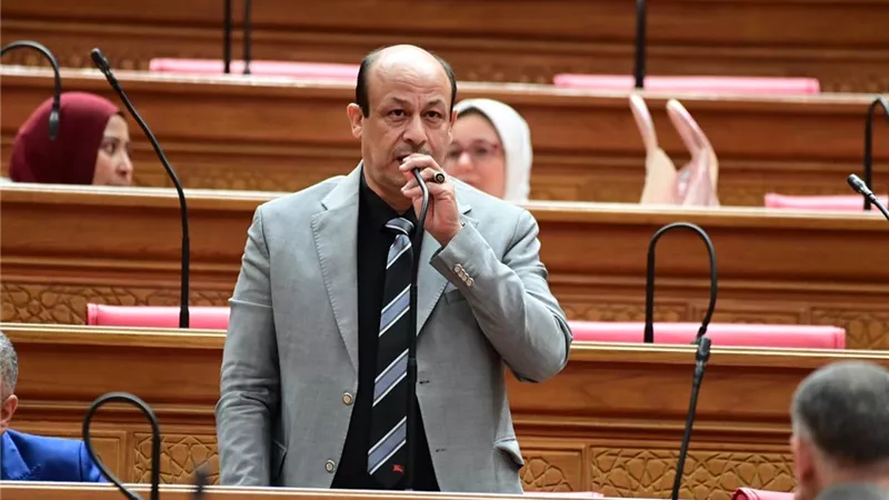 البيومي: زيادة المعاشات 15% تؤكد انحياز الرئيس للحماية الاجتماعية 