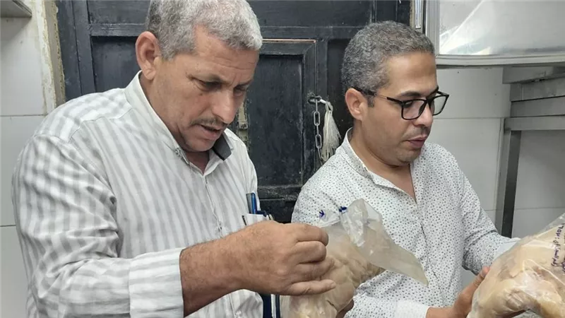 تموين الشرقية تضبط طنين من الدواجن والطيور المذبوحة المجمدة مجهولة المصدر 