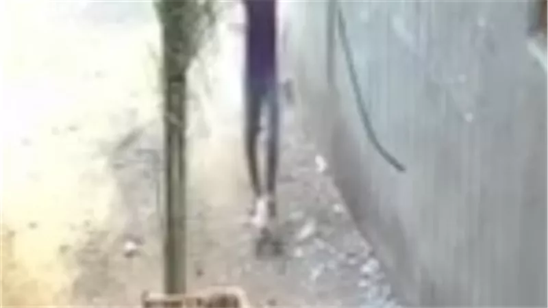 القبض على المتهم بالتعدي بالضرب على قطة في كفر الشيخ