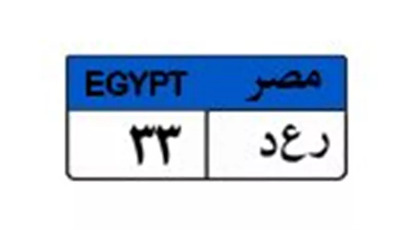 بـ2.1 مليون جنيه.. صراع بين 4 مزايدين على لوحة السيارة «رعد 33»