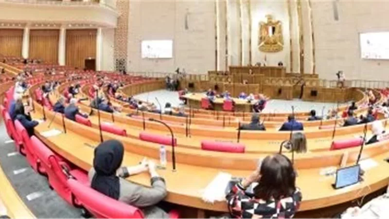 اقتصادية النواب تناقش مشكلات حذف المواطنين من بطاقات التموين