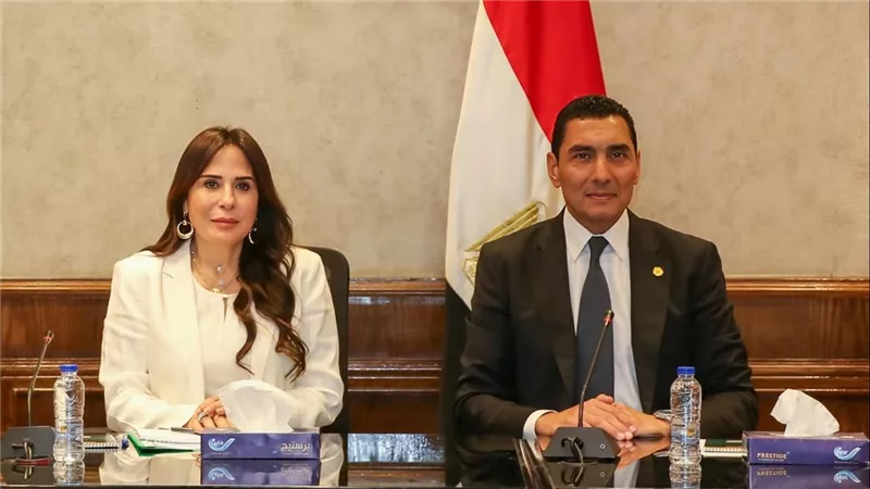 وزيرا الشباب والرياضة والإسكان يبحثان سبل التعاون المشترك في عدد من المشروعات 