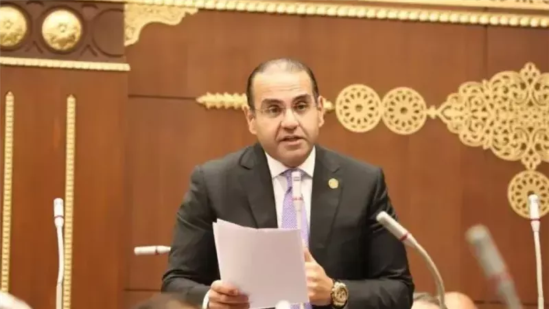 المنزلاوي: القطاع الخاص قاطرة التنمية وتوجيهات السيسي ترسم ملامح اقتصاد تنافسي
