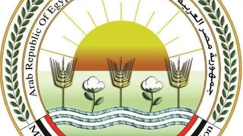 164 ألف فدان قطن حتى الآن.. والزراعة: المؤشرات النهائية تعلن نهاية يونيو