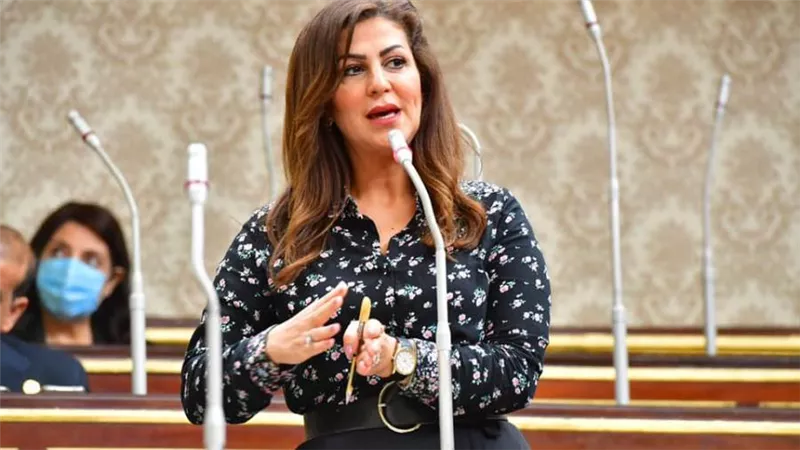 ضياء رشوان يعين الدكتورة دينا عبد الكريم رئيسًا لوحدة حقوق الإنسان