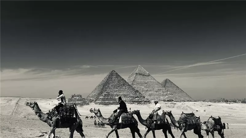 جامعة القاهرة تفتتح معرض التصوير الفوتوغرافي الوثائقي 