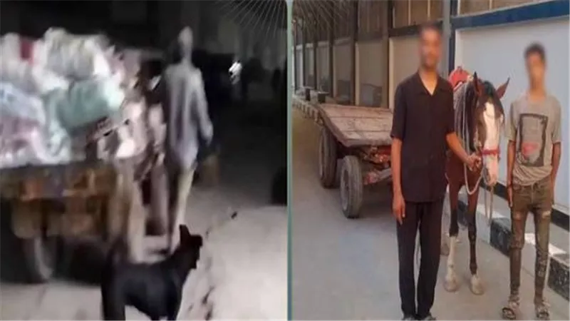 القبض على عاطلين ألقيا مخلفات بعربة 