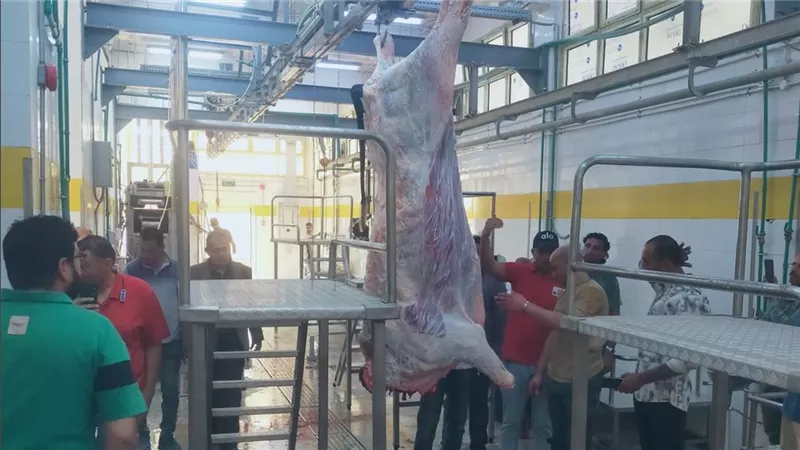 بتكلفة ٢٧ مليون جنيه.. بدء التشغيل التجريبي لمجزر قلمشاة بمحافظة الفيوم
