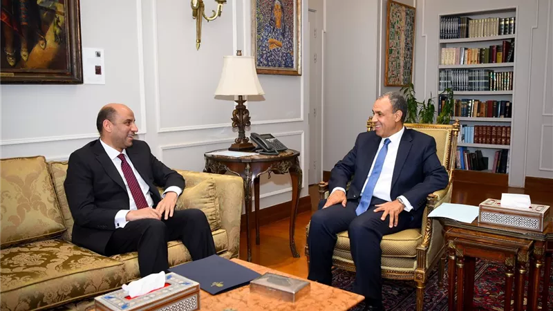 وزيرا الخارجية والعمل يبحثان تعزيز التعاون في ملف العمالة المصرية بالخارج