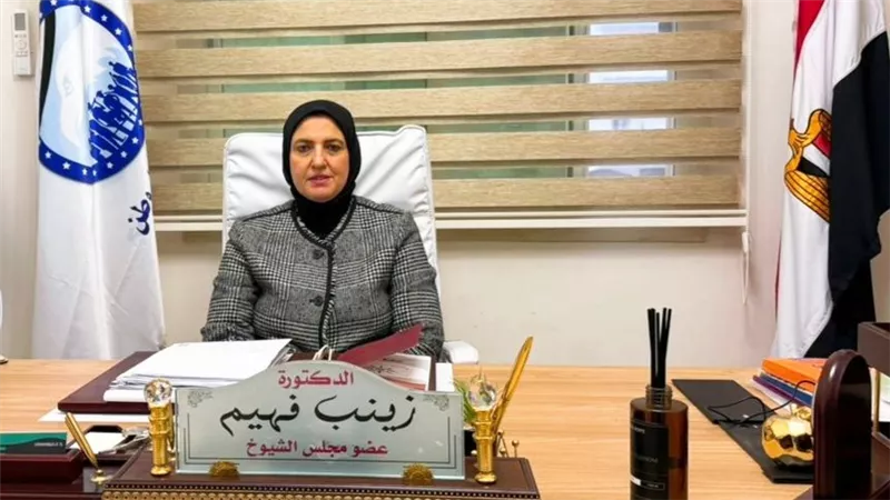 «زينب فهيم»: توجيهات الرئيس لتخفيف أعباء الدراسة انحياز واضح للأسرة المصرية