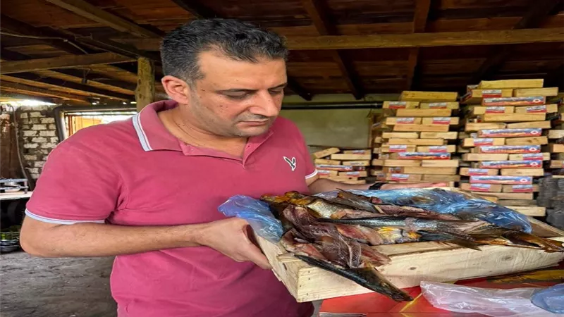 ضبط طن ونصف رنجة غير صالحة للاستهلاك بالغربية قبل طرحها بالأسواق
