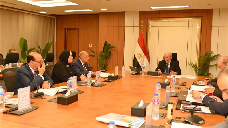 اعتماد توزيع 1.061 مليار جنيه من أرباح 5 شركات قابضة دعمًا للخزانة العامة
