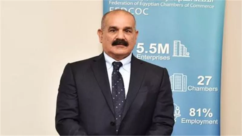 المكاوى: سحب الأراضي الصناعية يجب أن يكون الدواء الأخير لحماية الاستثمار