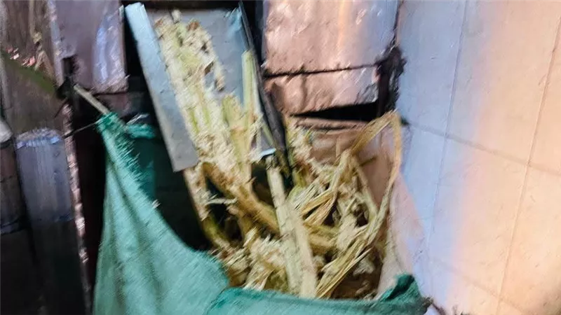 لبا سوري ملون وعصير قصب مغشوش.. ضبط أغذية مغشوشة وفاسدة في القليوبية