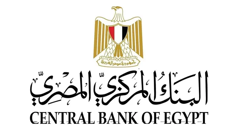البنك المركزي المصري يطلق البوابة الإلكترونية للجنة الاستقرار المالي الإفريقية