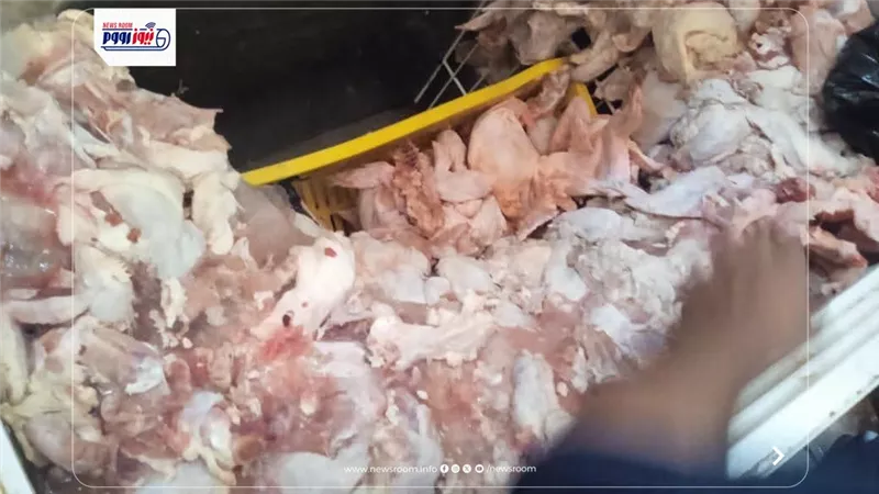 5 محاضر وضبط أكثر من نصف طن أغذية فاسدة من الدواجن والأسماك واللحوم بالمنيا