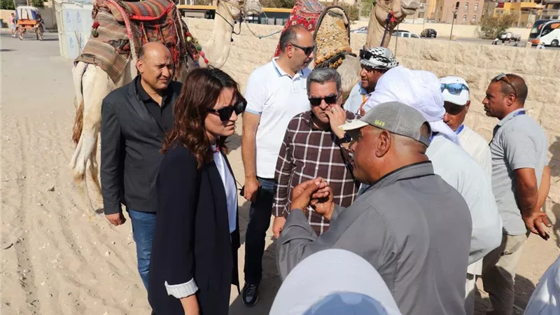 محافظة الجيزة تتابع انتظام منظومة ركوب الخيل والجمال بالأهرامات