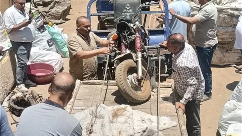 حملة مكبرة بالطالبية.. غلق مخازن فرز وخردة ومصادرة المعدات
