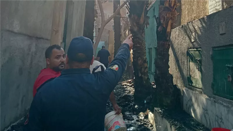 السيطرة على حريق بأشجار نخيل داخل مقابر بهتيم بشبرا الخيمة دون إصابات