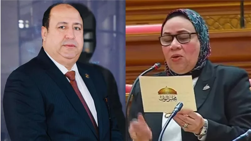 نواب بنى سويف: 30 يونيو يوم العزة والكرامة محطة مهمة فى تاريخ مصر             