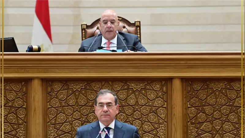 «النواب» يقر اتفاقيتين للتنقيب عن البترول في المتوسط والصحراء الشرقية والغربية