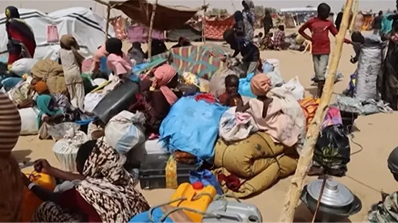 خبير: ما يحدث في السودان يرقى إلى جرائم دولية والدعم السريع المسؤول