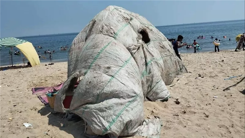 جهود مكثفة للأجهزة التنفيذية لإزالة الخيام العشوائية من شاطىء مدينة بورفؤاد