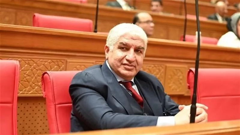 أشرف سعد سليمان يطالب الحكومة بحسم أزمة سيارات ذوي الهمم