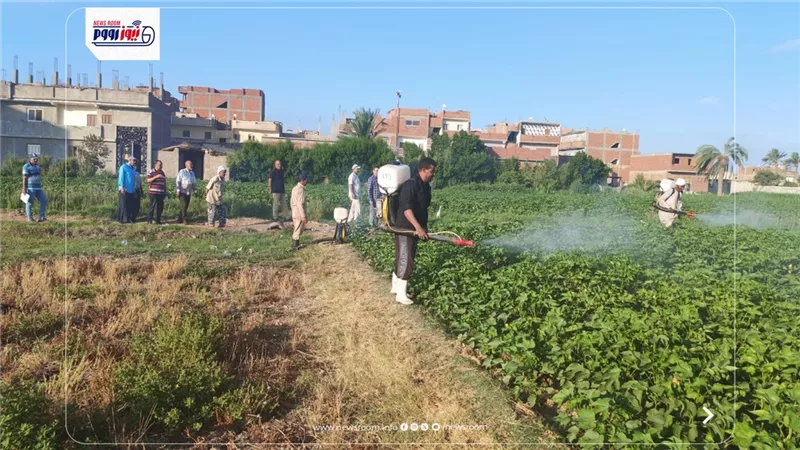 زراعة الفيوم: انطلاق الرشة الأولى لمكافحة ديدان اللوز بمحصول القطن 