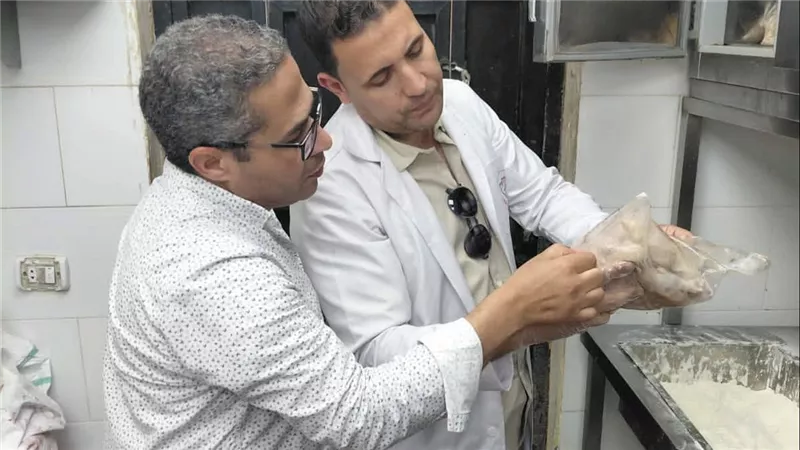على مدار أسبوع بيطري الشرقية يضبط قرابة 29 طن لحوم ودواجن فاسدة ومجهولة المصدر