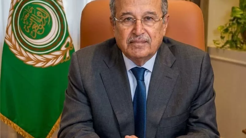 نبيل فهمي يصف الاعتداءات المتكررة على السعودية والأردن بالتصعيد الخطير 