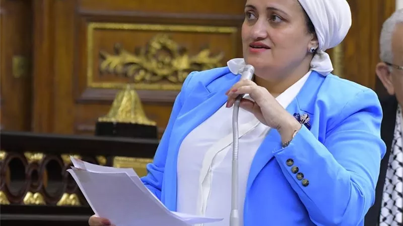 سناء السعيد: أعد ملفاً متكاملاً للنواب لمواجهة 