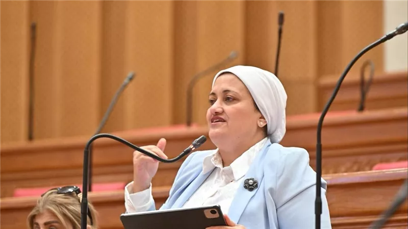 لماذا نُقلت مباريات بترول أسيوط إلى برج العرب؟.. سؤال برلماني للحكومة