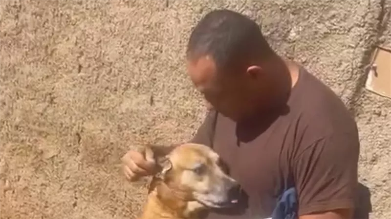 كأنه ما صدق لقاه.. كلب يفاجئ أحد المارة بعناق مؤثر في الشارع