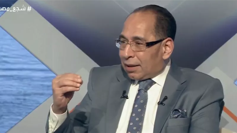 «من 3 لـ40 ترليون جنيه».. خبير اقتصادي يكشف التحول في الاقتصاد المصري منذ 2013