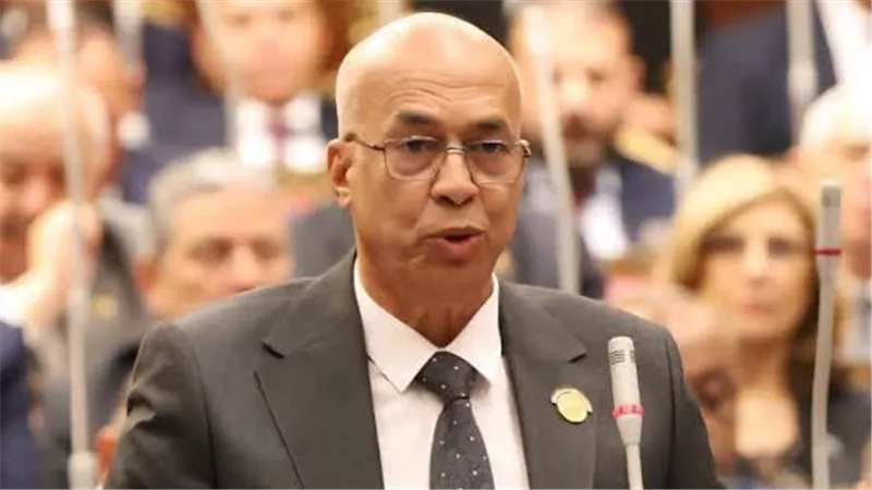 صلاح ربيع: توجيهات السيسي بإجراء انتخابات المحليات تؤكد الحرص على البناء