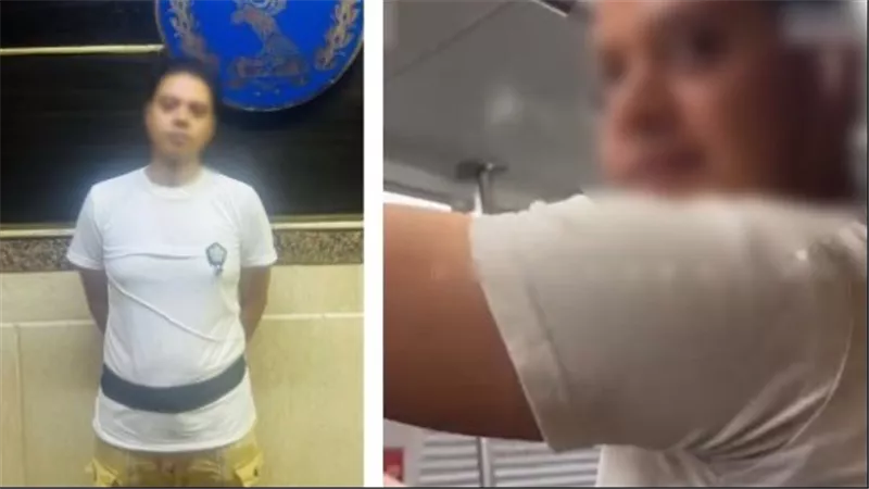 النيابة تصدر قرار جديد بشأن المتهم بالتحرش بسيدة داخل مترو 
