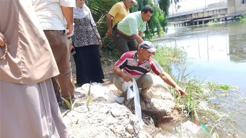 اطلاق 150 ألف زريعة سمكية بترعة الباجورية بالمنوفية لدعم الثروة السمكية 